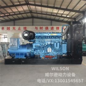 濰柴博杜安500kw柴油發(fā)電機組